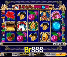 Exclusive Offers Br888